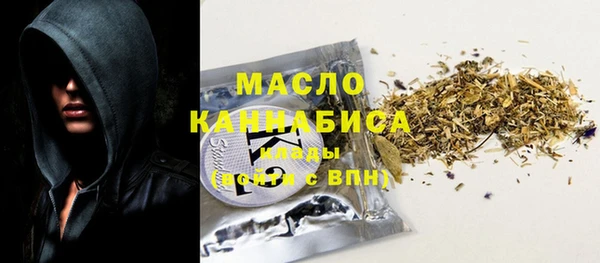 твердый Ельня