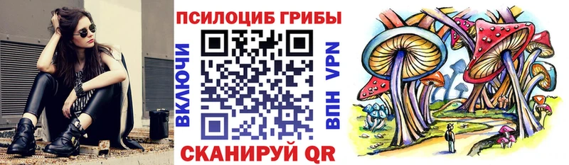 Псилоцибиновые грибы Cubensis  Купить закладки  Никольское 