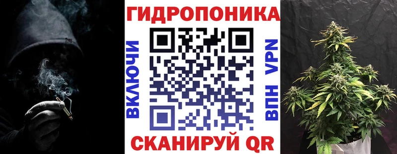 Купить где  Никольское  МАРИХУАНА ГИДРОПОН 